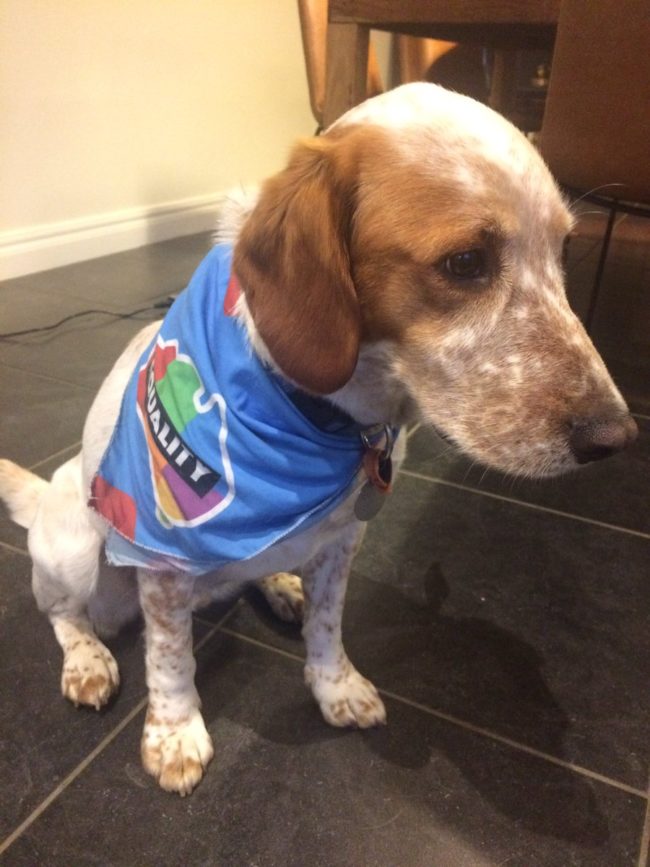 But then things turned ugly when a man lashed out against the editor's views by trying to hurt her dog. In a tweet concerning the incident, Sutherland recounts, “So some mouth-breathing cretin in the park tried to kick my dog while shouting homophobic slurs. Australia, you have truly shat the bed.”