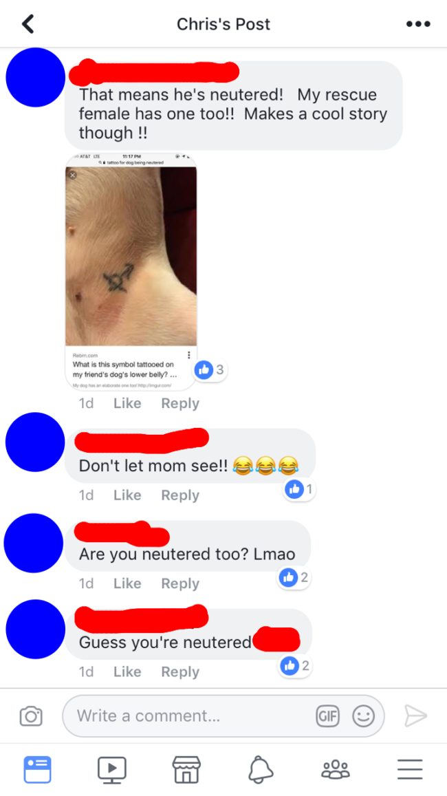 The symbol he just had inked on his body means neutered! Other marks can indicate spaying or Cesarian sections for female dogs. Whoops!