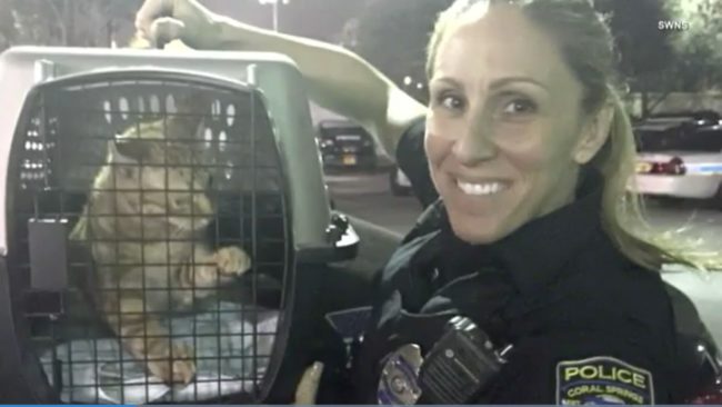 When news of her animal-loving ways got around town, she started getting calls from other cops and community members when they found strays.