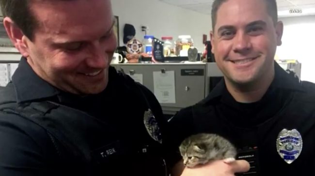 When she's busy, her new feline friends hang with other officers at the precinct!
