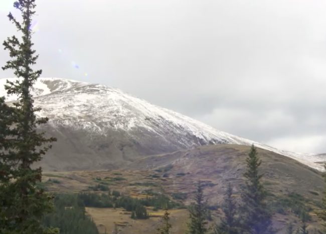 Eventually, Smith heard a whimpering noise that she believed to be Chloe. That said, the noise was coming from somewhere that was really hard to access.