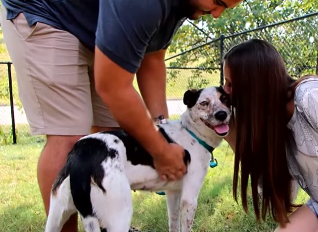 They actually hadn't heard KD's story until they stumbled across the footage of her being abandoned. &ldquo;I immediately started crying, 'Not my baby,'" Henderson said. &ldquo;She had been out for a long time without water so I&rsquo;m sure it was a tough situation for her. We were just thankful she wasn&rsquo;t hit by a car.&rdquo;
