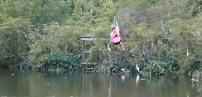 As she glided over the pond, her calm demeanor changed pretty quickly...