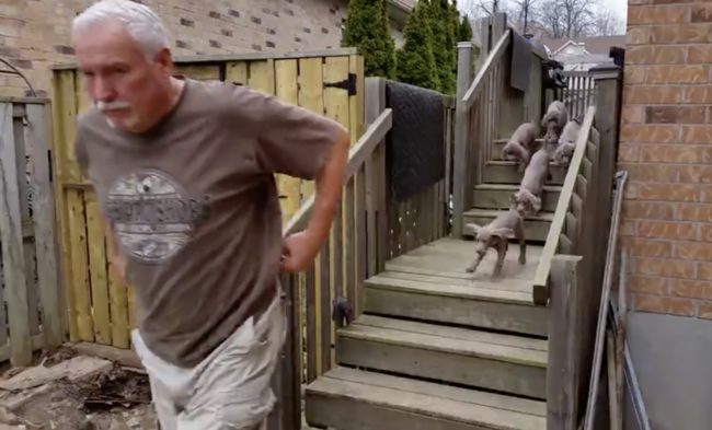 But this guy's approach is on another level entirely.