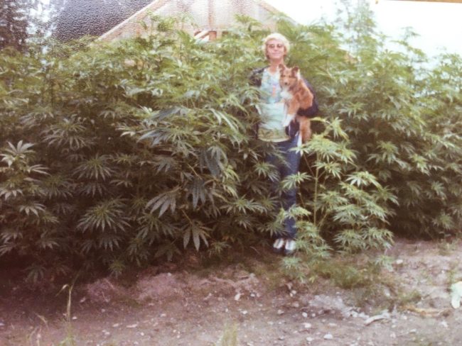 "Mom's 'garden' 1980s."