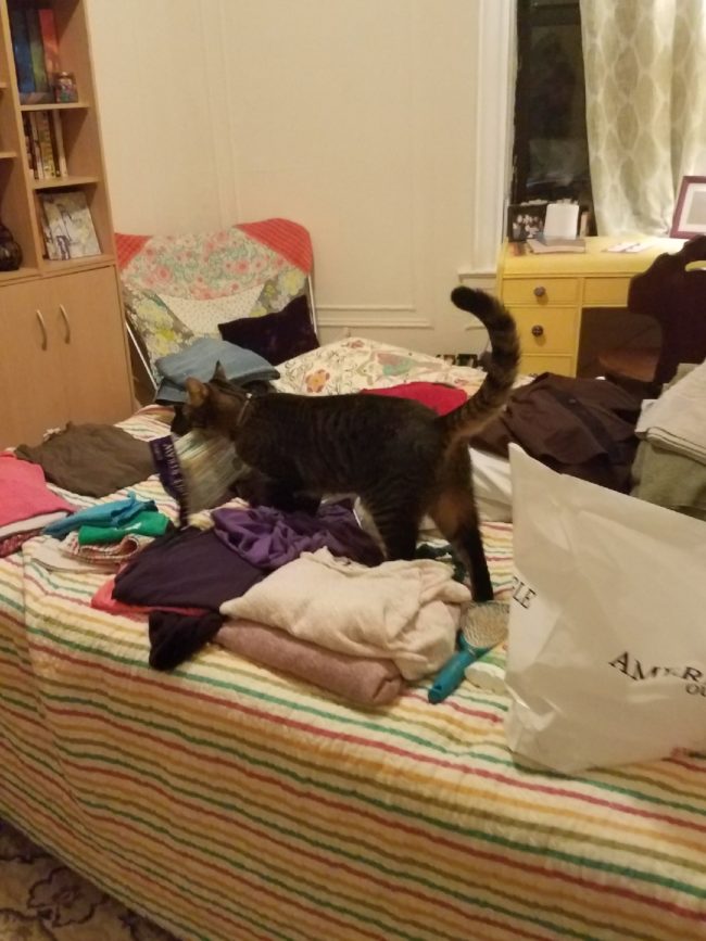 But she had no idea that she'd already been caught. The jig was definitely up.