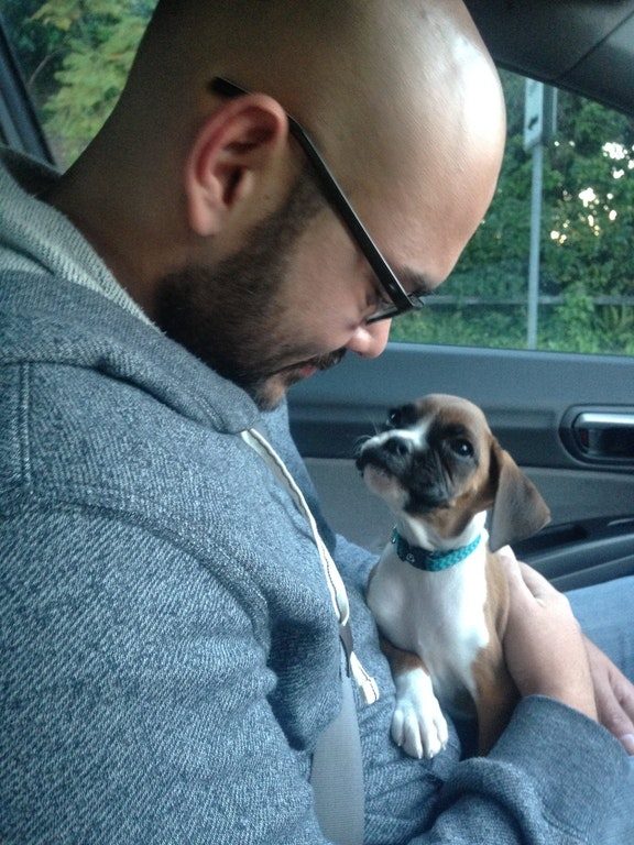 You know how they say some dogs look like their owners? Well...