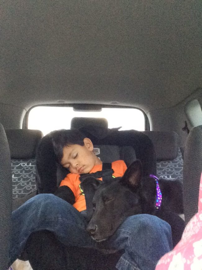 "My son and our dog 20 minutes after we adopted her."