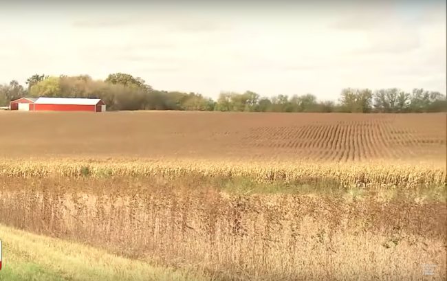 In Minnesota, toddler Mason slipped away from his parents and into a cornfield. They were amazed that he got so far so fast.