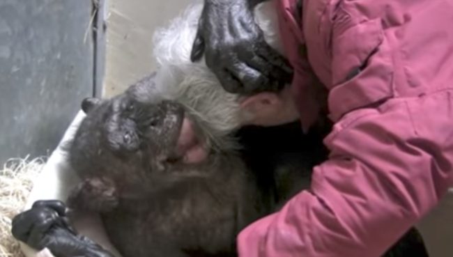 Embracing her friend, Mama held onto him for as long as she could before the two parted ways.