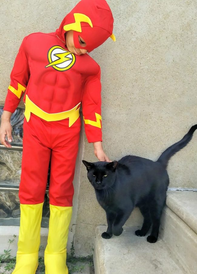 He visits his aunts regularly and helps them with the 45 cats in their care at four different locations around the city, all while wearing his favorite superhero costume of the day.