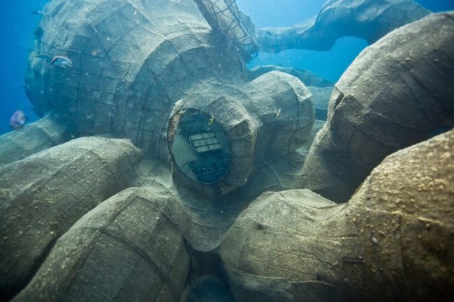 After a few months under water, the kraken is starting to see some growth on its steel frame. Fish and other animals are beginning to move in. 