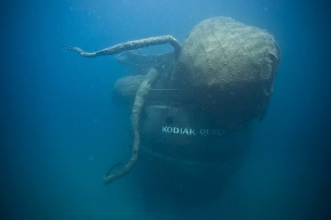 The haunting underwater scene has changed the landscape forever, and the environmental effect promises to be positive. 