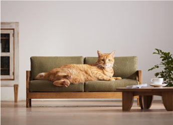 Art collective Okawa Kagu have just unveiled their own collection of furniture just for cats.