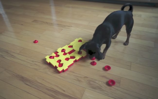Ripley loves to test herself with unique puzzles that help stimulate her mind.