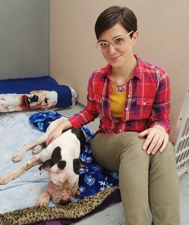 Since Charlie arrived at the animal hospital, he's slowly been making progress with antibiotics, IVs, and surgery to remove dead tissue around his face and muzzle. He's also gotten plenty of love and affection from the people around him, including Rubino, the woman who saved his life.