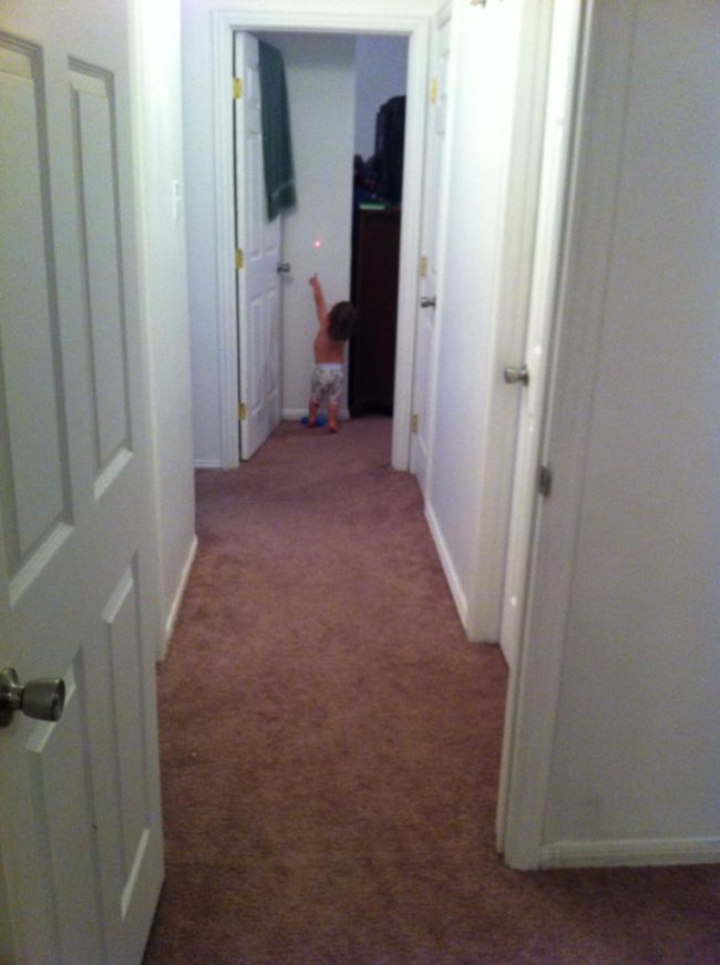 I mean, they work for cats, right?