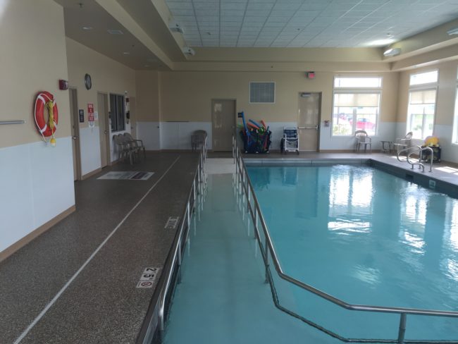 Peeing in the pool or shower