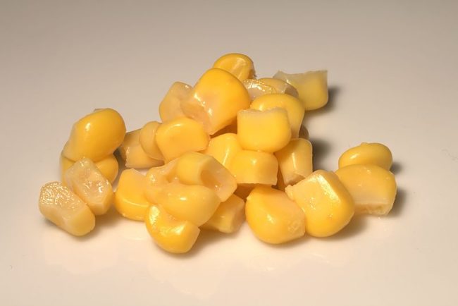 As The Guardian reports, a global rise in temperatures by just 1.8 degrees Fahrenheit can slow the rate of corn growth by seven percent. A drop in corn production could also mean less meat and even higher prices for it, as much of U.S. corn feeds livestock.