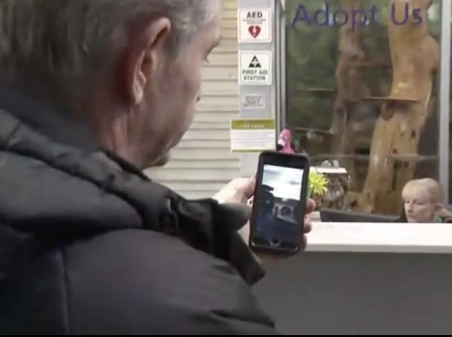 Following the viral photo, the incident was reported to both the local police and the Calgary Humane Society.