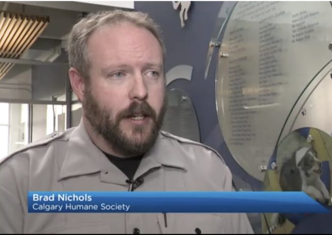 While it is too early to tell if the driver will be charged for his carelessness, a CHS spokesperson believes that there is enough evidence that could lead to an animal cruelty charge.