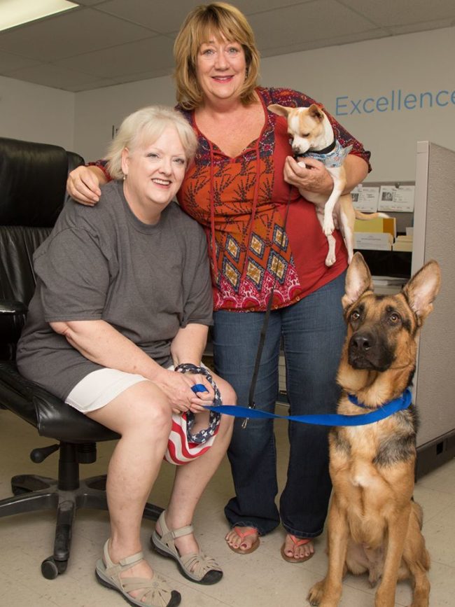 On October 12, HSU happily announced that Jefe and Jericho had finally been adopted by their new mom, Constance. Now they'll get to spend the rest of their lives together in a loving home!