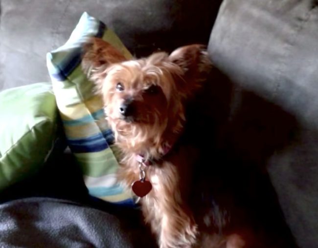 Unfortunately, the loving bond between the two was cut short after Meja unexpectedly died of congestive heart failure.