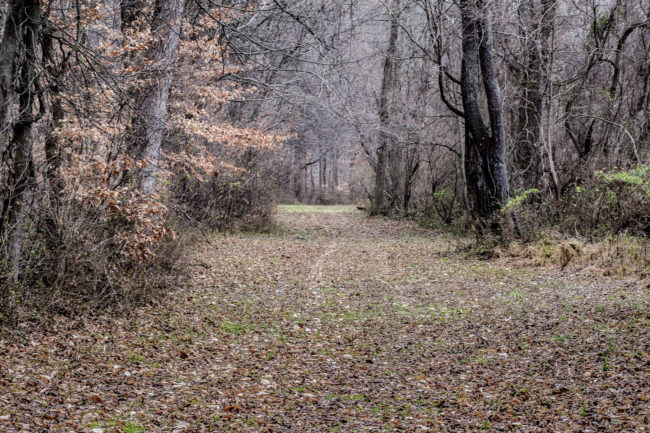 Police say they are checking into Dearman's past to investigate if drugs were involved and his claim that the law was following him. His family believes this behavior is strange and that his mental state may have been altered at the time of the incident. By what may be a mystery forever unless and until Dearman is found. Warrants are now out for his arrest. 