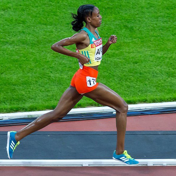 Another paper by Geoffroy Berthelot suggests that world record-breaking reached its peak in 1988, with the rate of records being broken slowing down in the years since. "The rate of improvement is approaching zero for the majority of athletic trials," said Marc Andy, a researcher at France's Institute of Sport Biomedical Research and Epidemiology.