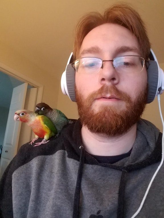 "My birds steal batteries out of electronics. Remotes, beard trimmers, fire alarms, you name it. They don't do anything with the batteries, just take them out and then laugh at me and dance when I find them. Conures are dickheads, but I love them." -- Pyrhhus