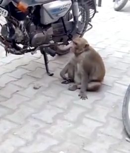 However, they were the ones surprised when they realized who it was.