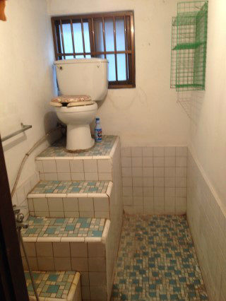 I know they call toilets "the throne," but this is a little much. Do not use when drunk.