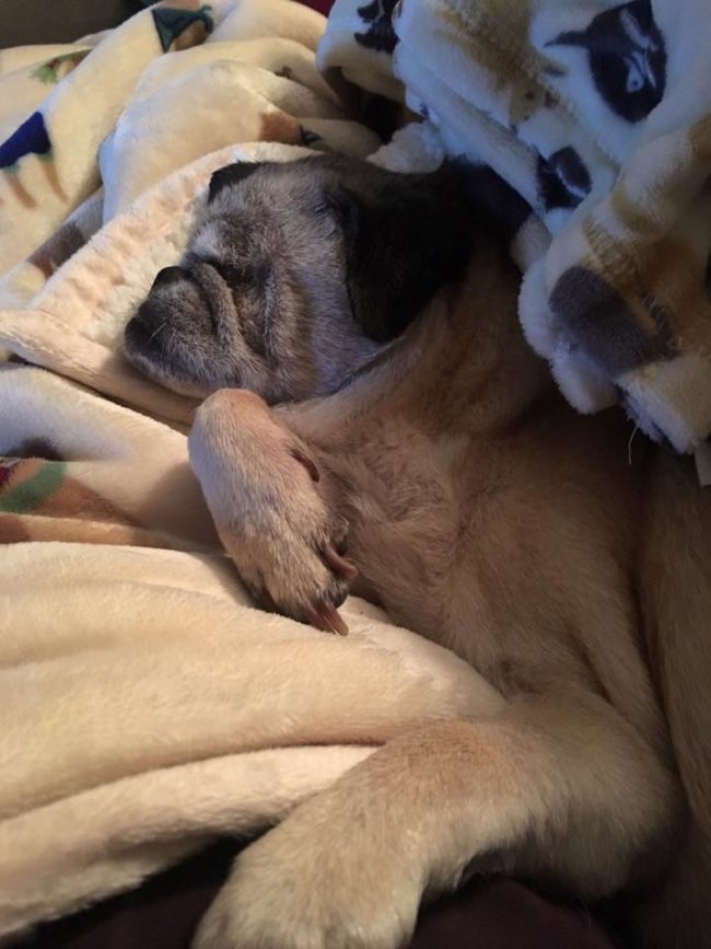 Aliff also uses the command "careful" to notify Cinderella that's she's too close to something.