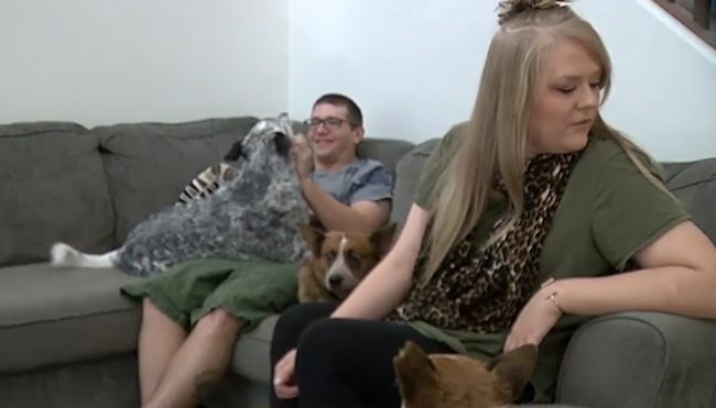 Bella, Bear, and Tres settled into their new home right away, which I'm sure was made easier by all the love and attention they were receiving.