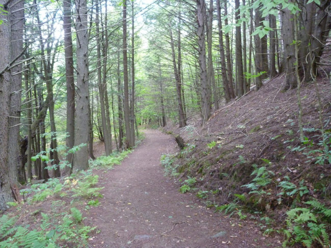 "As a warm-blooded species, humans have the existential need for thermal comfort," the study authors wrote. "Clement (that is, mild) temperatures encourage individuals to explore the outside environment, where both social interactions and new experiences abound; by contrast, when the ambient temperature is either too hot or too cold, individuals are less likely to go outside." They also theorized that with climate change, wemay also see changes in human personality.