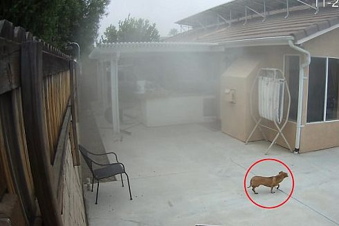 In addition to the obvious damage, the vehicle also hit pipes, causing water damage.