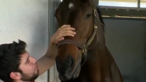 When the fire threatened to take their lives, Tapia ran to the stables. He opened as many doors as he could, risking his own life in the process. &ldquo;I was just scared, but I wasn&rsquo;t thinking. It was just too fast, everything,&rdquo; he said.