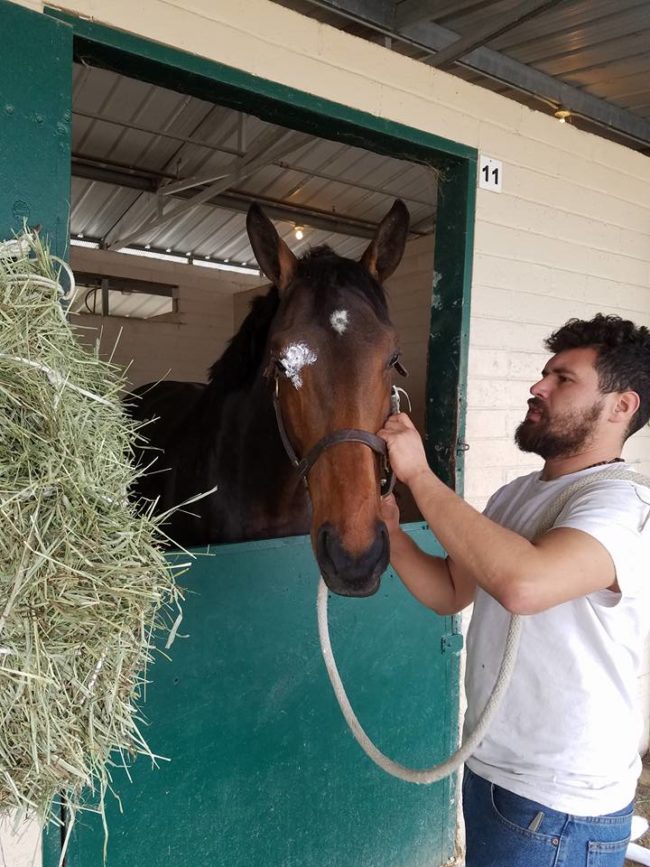 Tragically, he wasn't able to rescue all of animals. Six of the horses he cares for didn't make it. But he's thankful that his favorite horse, Midnight Summers, did survive.