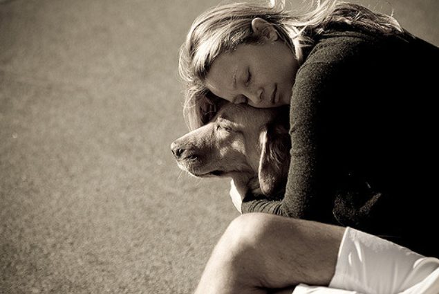 Lean on them. If you have a particularly affectionate dog, you may have noticed they'll lean up against you while you're standing next to them. This is their way of hugging you, so it only makes sense that they interpret you pressing your weight gently against them as reciprocation.