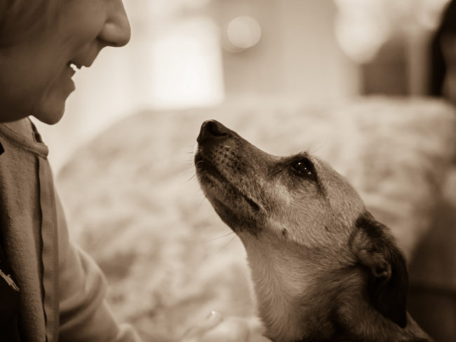 Keep doing you. This one is pretty self-explanatory. Your pup loves you exactly as you are and knows your behavior well, so keep being yourself and show him you love him in the usual ways. Just tack on these tips to make him feel extra special.