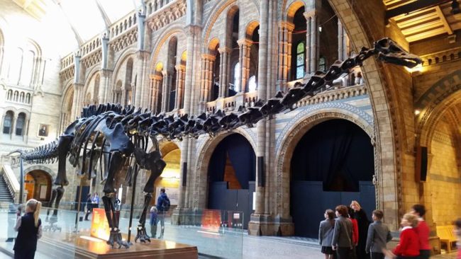 Dippy the dinosaur is one of the most popular skeletal attractions that has traveled the world, but as he prepared to take up residence in the U.K., he required a major cosmetic correction that forced him to take a pitstop in Canada.
