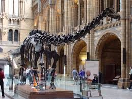 &ldquo;Dippy is actually five different sauropods, cobbled together, but they never had Diplodocus hands so they just made copies of the feet," said Professor Paul Barrett of the Natural History Museum.