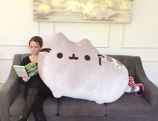 It must be her lucky year, then. On December 20, VietteLLC was greeted with the sight of a FedEx delivery guy lugging a refrigerator-sized box. Inside was a wonderland of gifts for the cat lover, including a 30-pound Pusheen plushy!