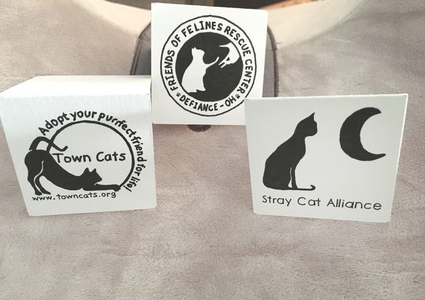 The most generous of the bunch were separate $250 donations to the Friends of Felines Rescue Center, the Stray Cat Alliance and the Town Cats organizations.
