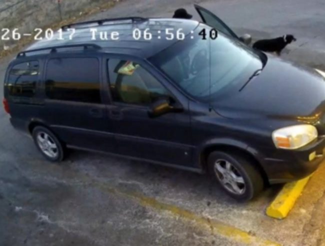 According to Santa Fe police, &ldquo;the male opened his door and let the dog out of the vehicle with [a] note attached to its neck."