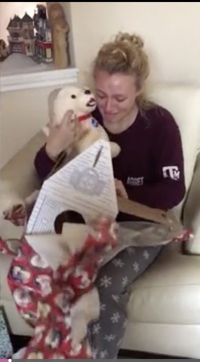 After unwrapping the Build-a-Bear box inside, Gabriella can be seen bursting into tears before discovering that rather than a cuddly teddy bear, a stuffed dog resembling Jax was awaiting its new owner.