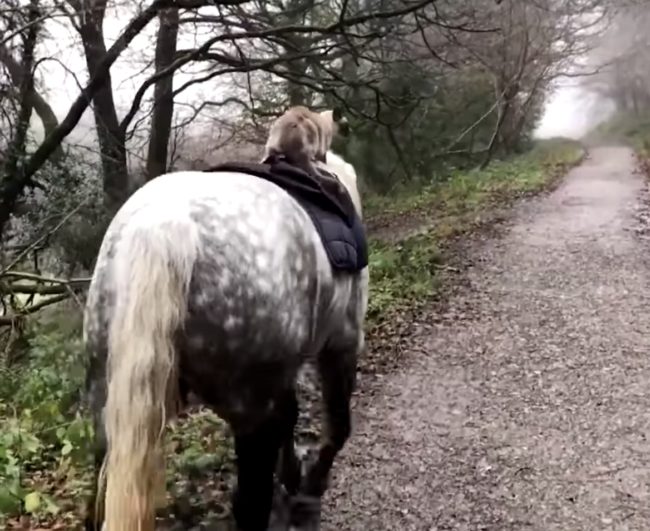 From there, they start walking on this scenic path.