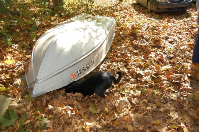 That's when she started digging and became obsessed with getting under there.