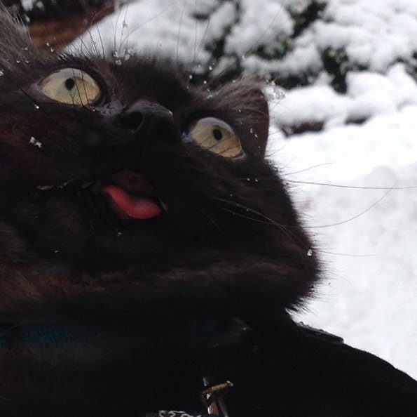 "I don't think he likes that whole winter idea."