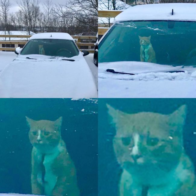 "Well, I'm screwed."
